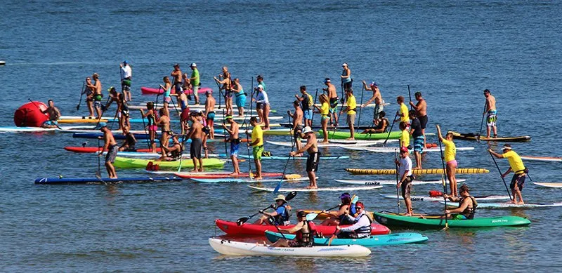 Paddleboards